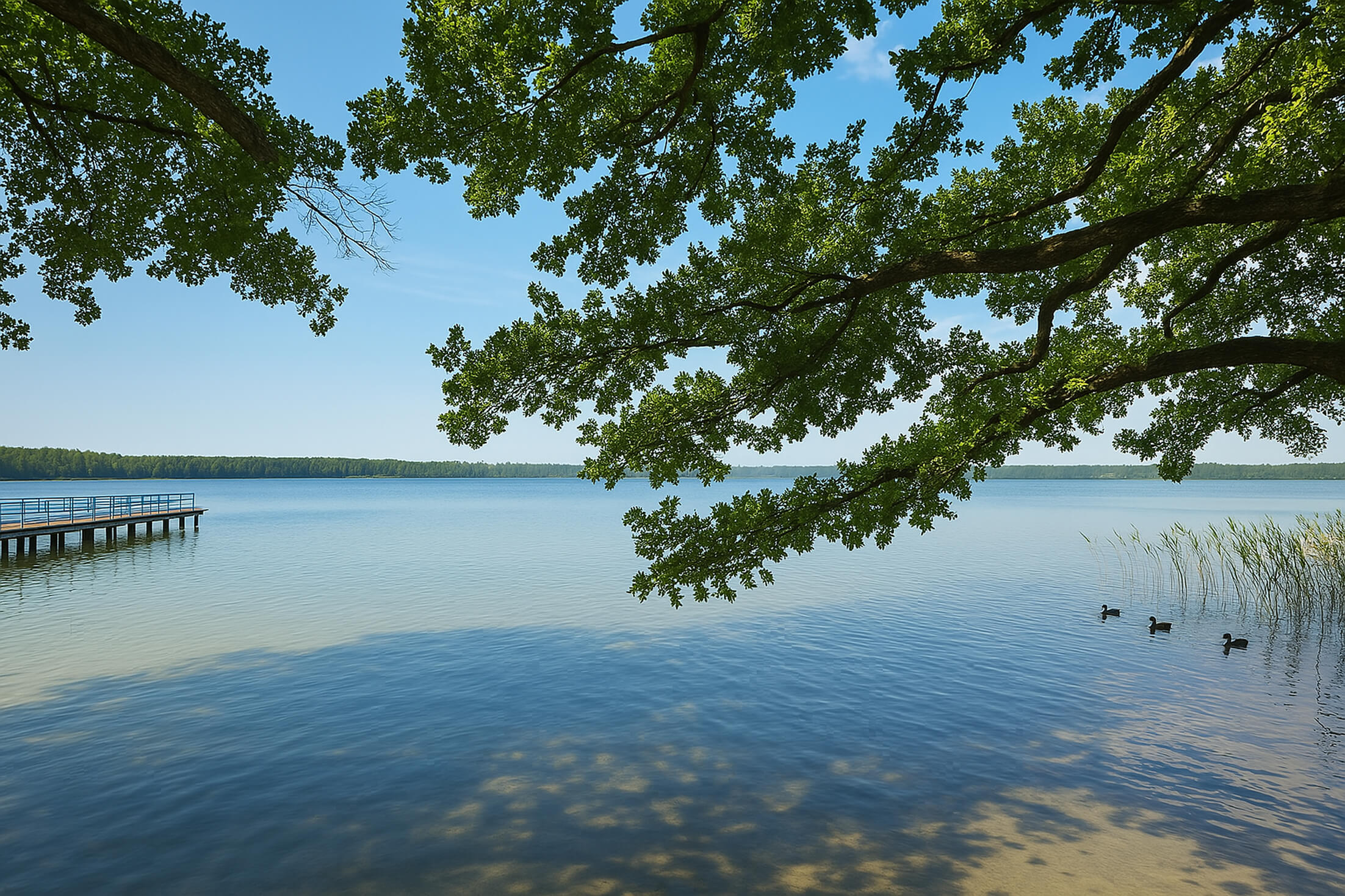 Озеро зі срібно-гліцериновою водою
